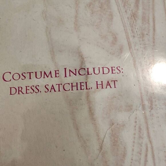 Spirits Classic Robin Hood Womens Costume in Size Small/Medium - Picture 4 of 7